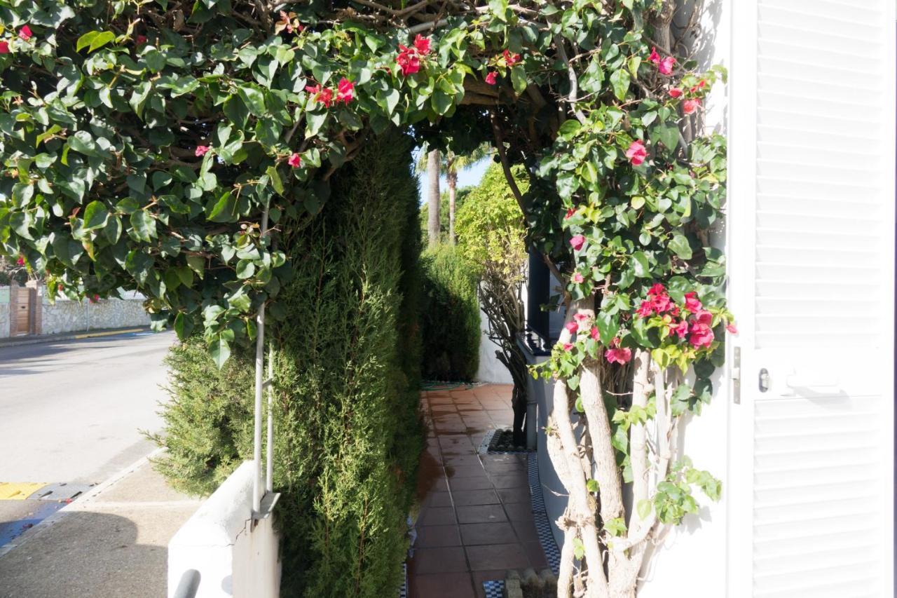 Apartamento Alextia La Barrosa Chiclana de la Frontera Extérieur photo