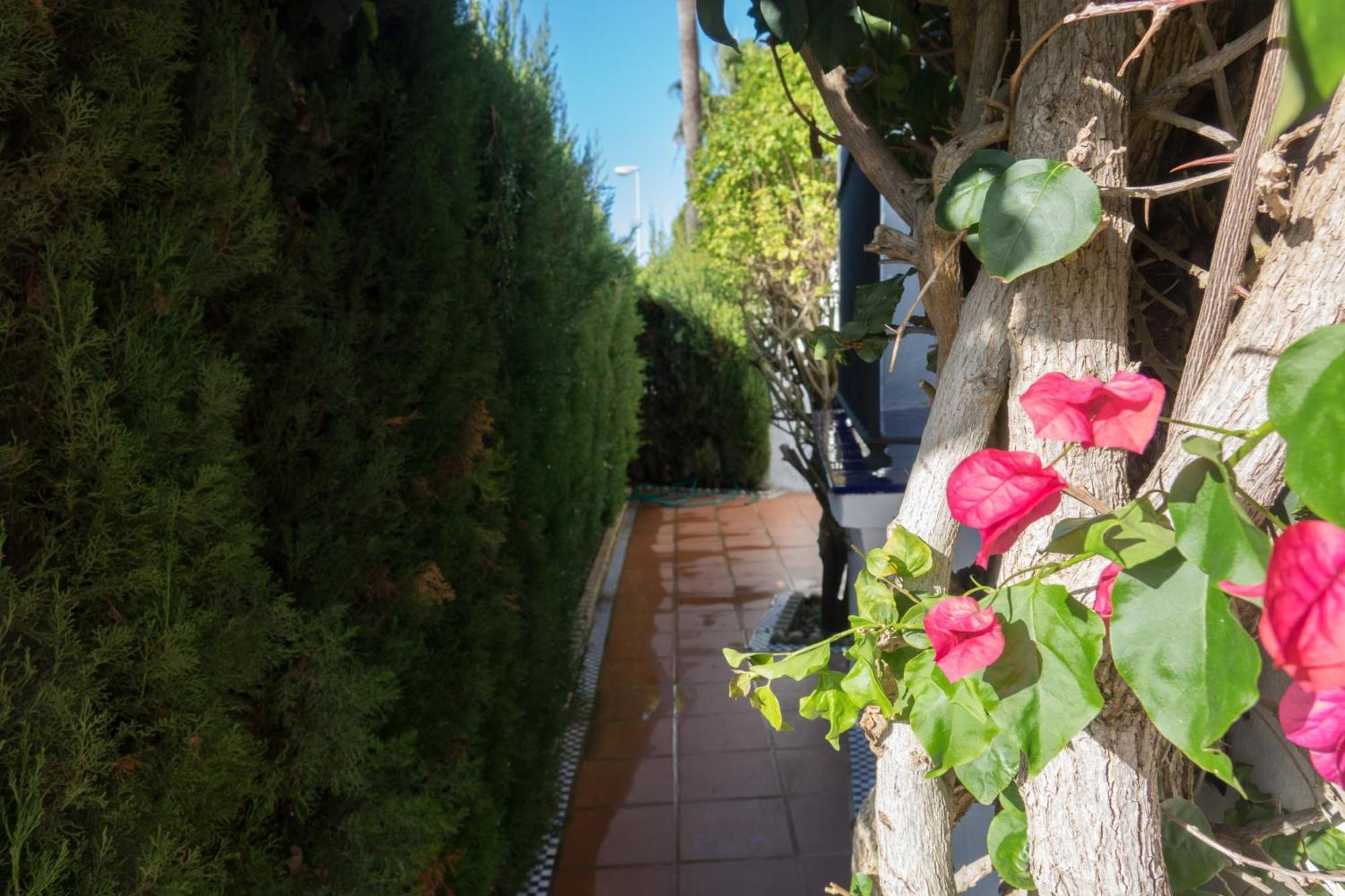 Apartamento Alextia La Barrosa Chiclana de la Frontera Extérieur photo